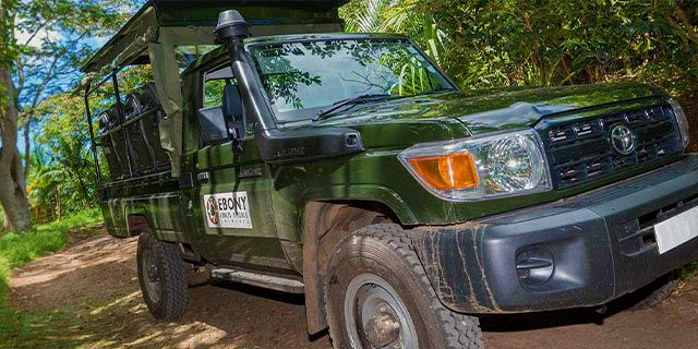 Guided tour ebony forest including 4x4 jee (12)